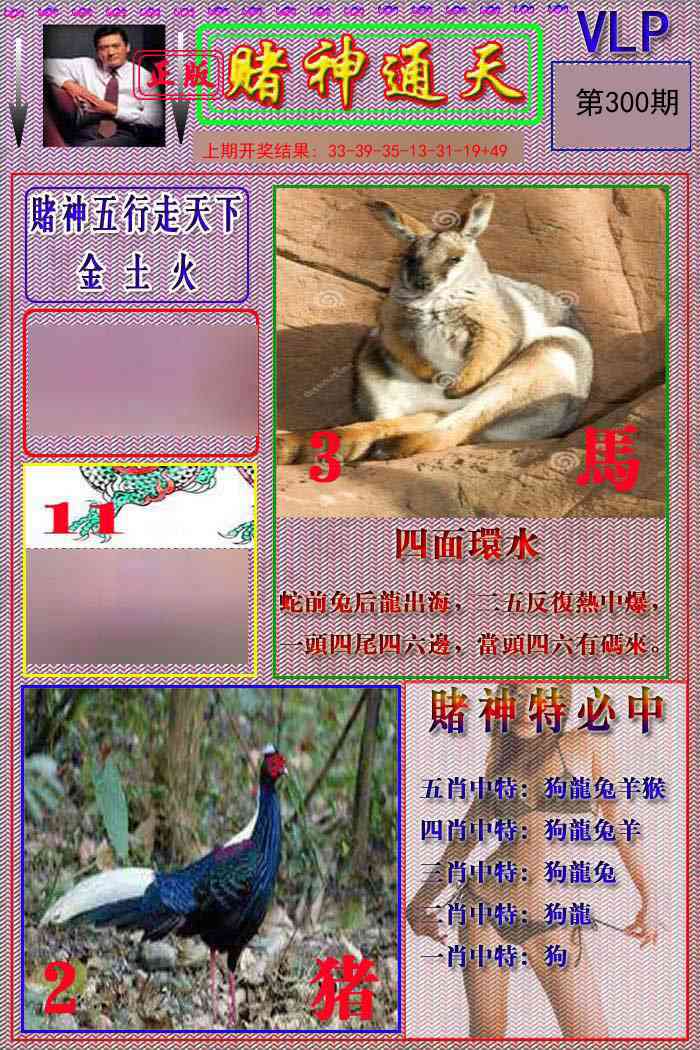 300期赌神通天报[图]