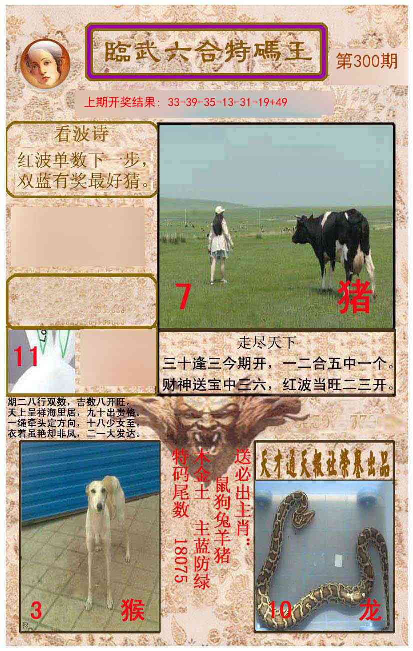300期临武六合特码王[图]