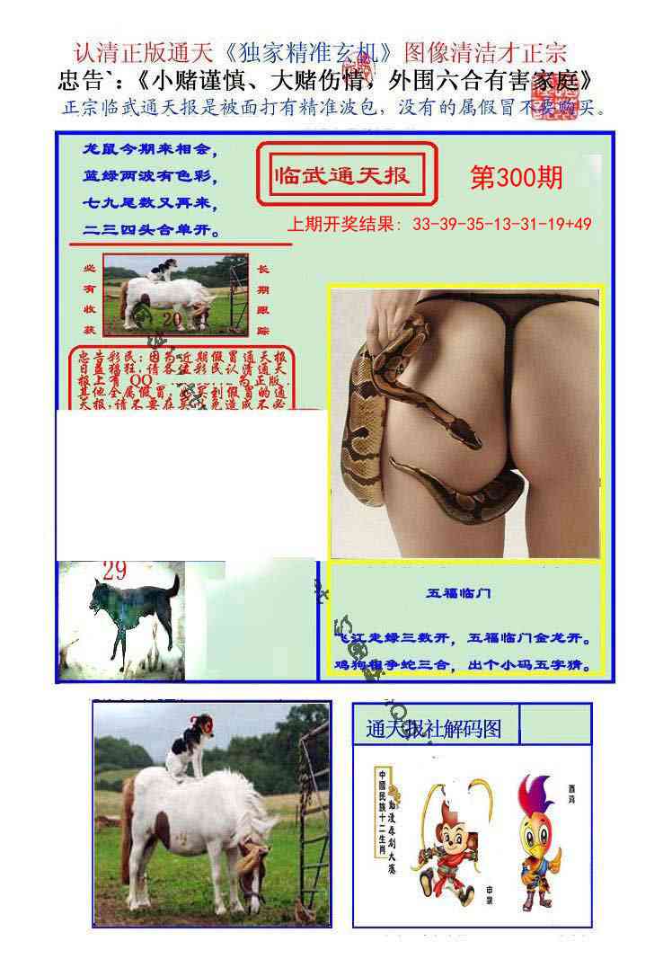300期临武通天报[图]