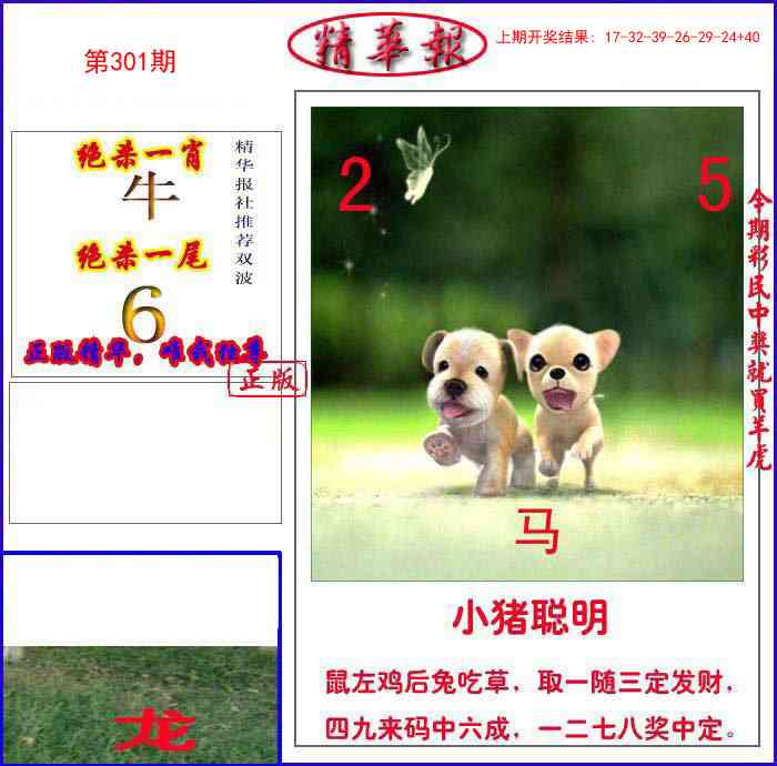 301期新精华报报[图]