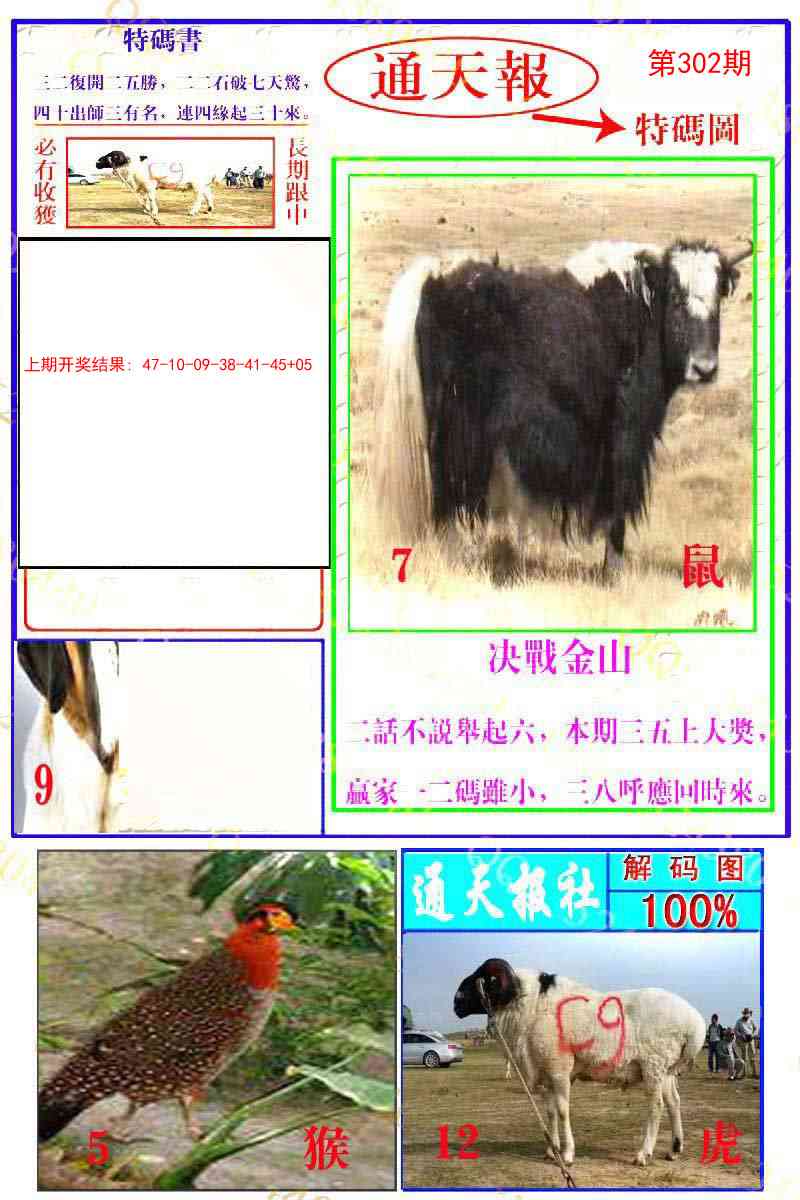 302期通天特解图[图]