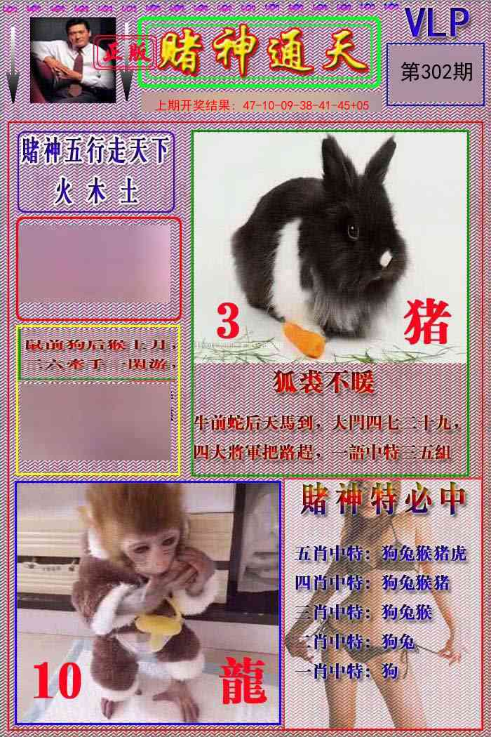 302期赌神通天报[图]