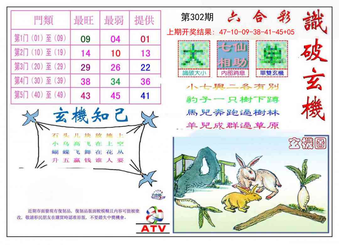 302期识破玄机[图]