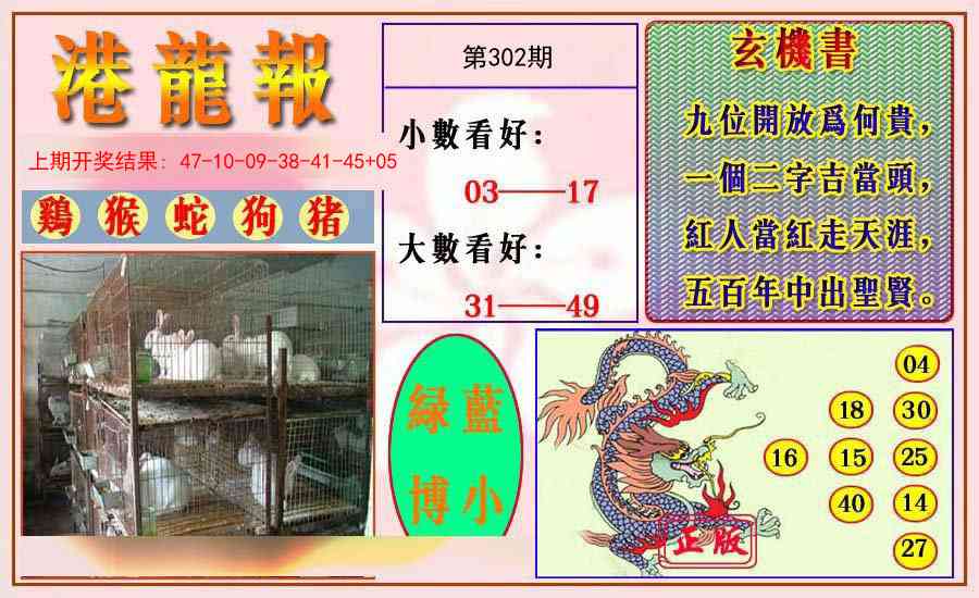302期港龙报[图]