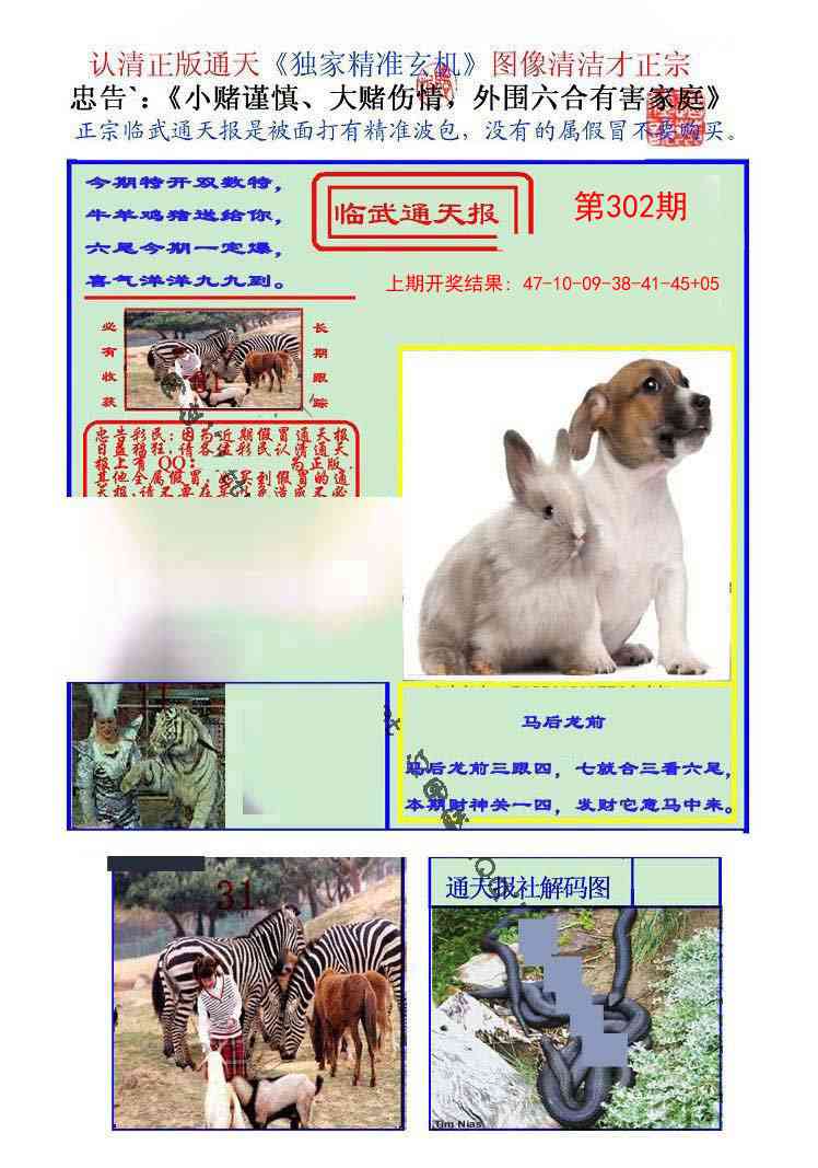302期临武通天报[图]