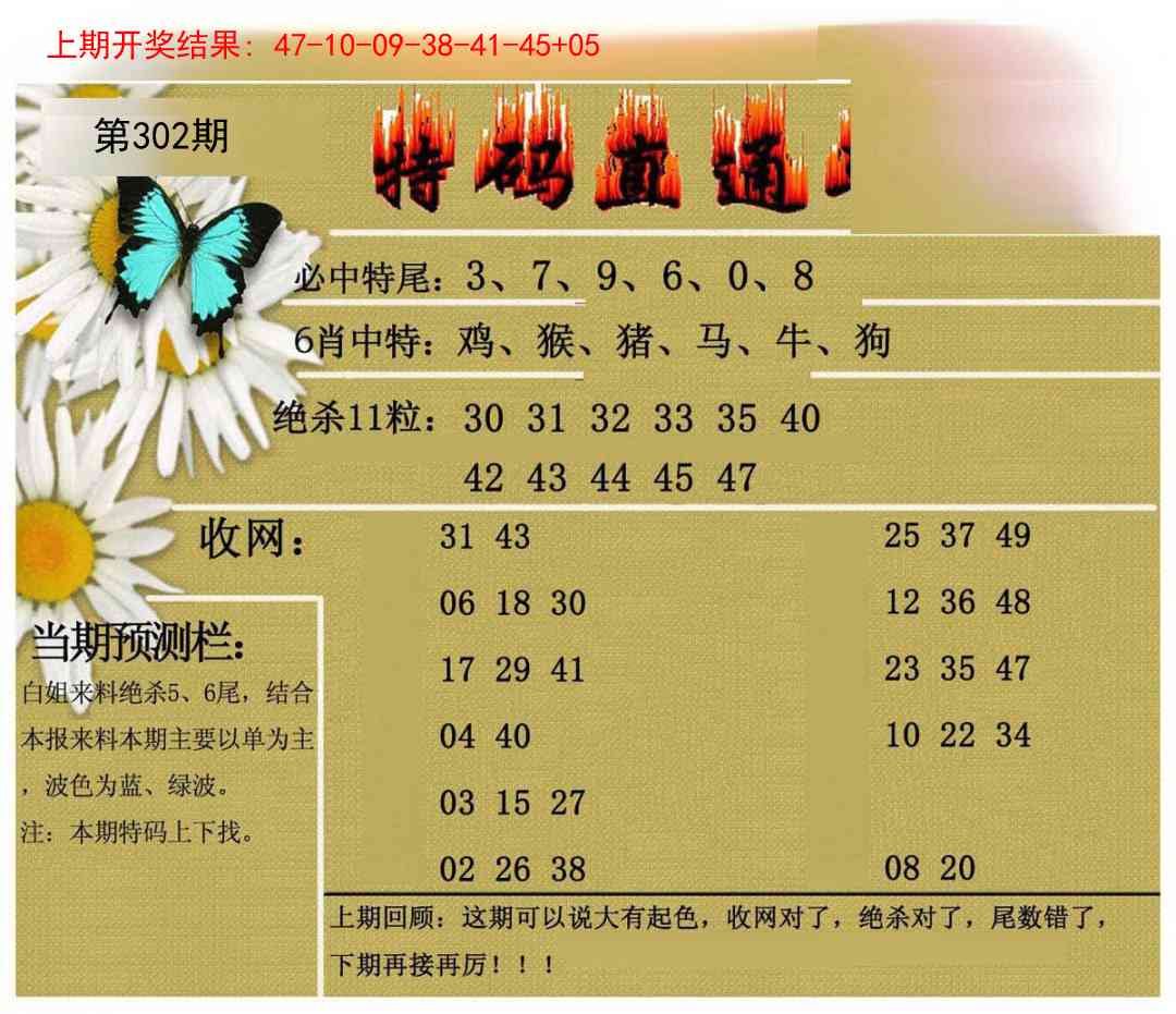 302期特码直通车[图]