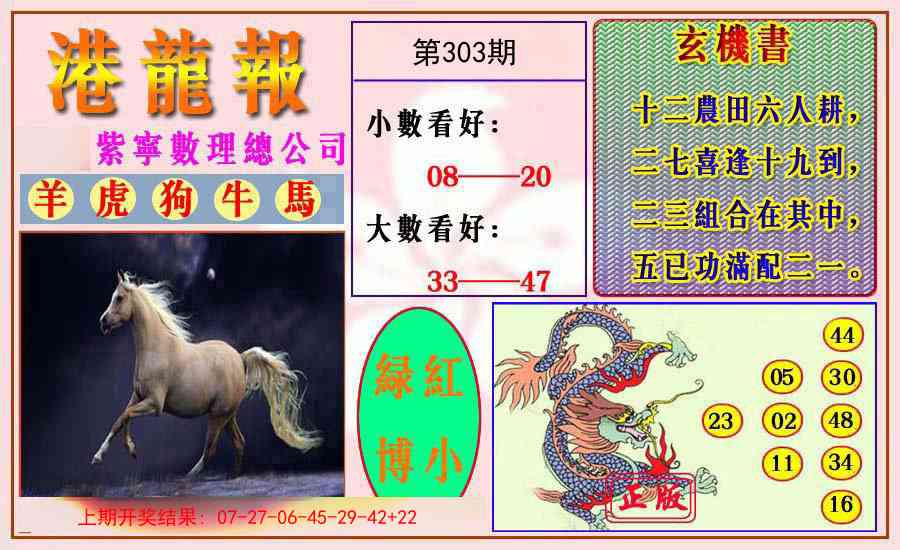 303期港龙报[图]