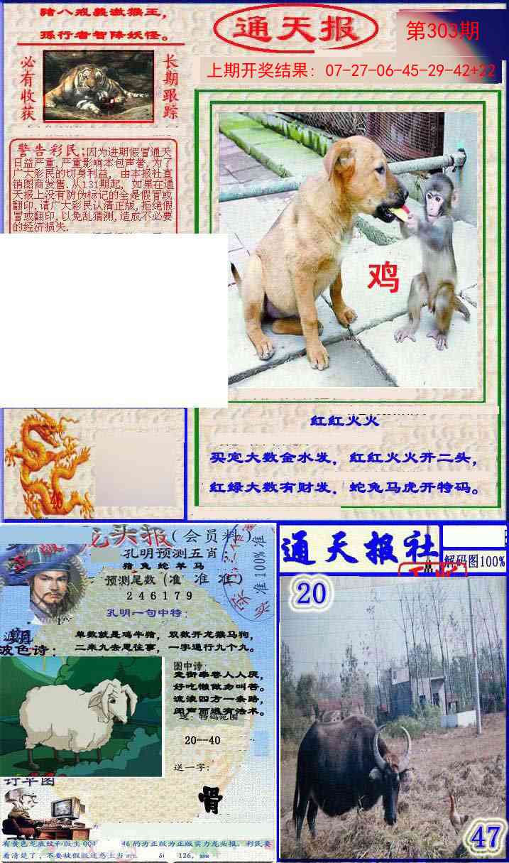 303期实力通天报[图]