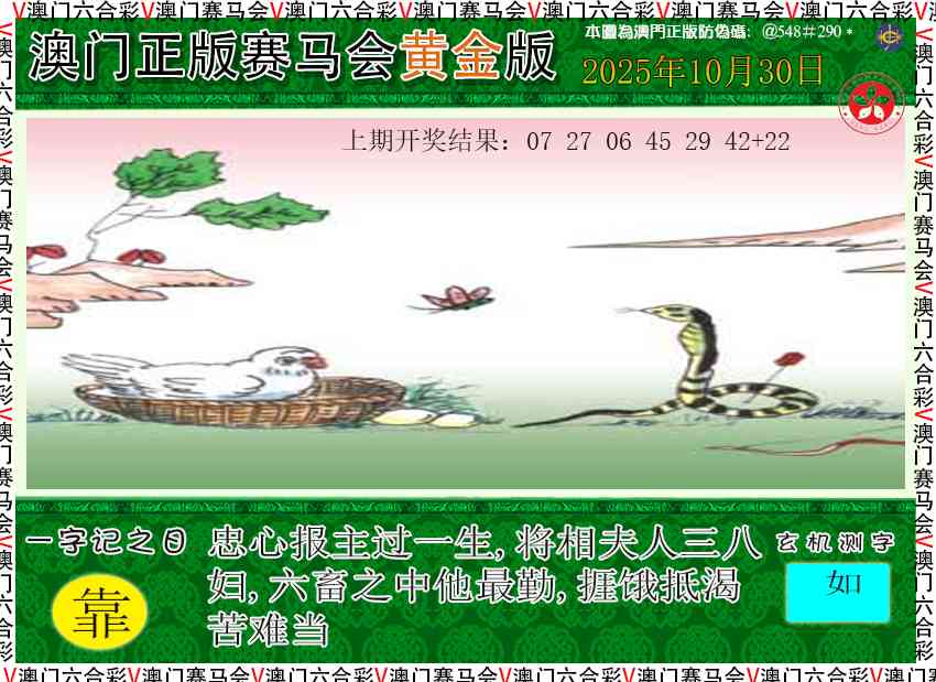 303期赛马会黄金版[图]