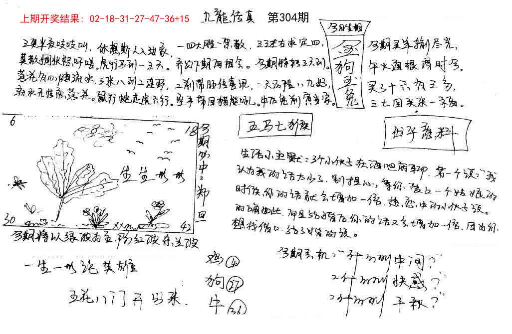 304期手写九龙内幕[图]