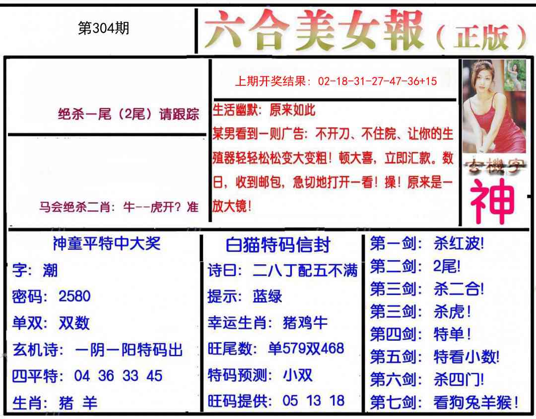 304期美女报[图]