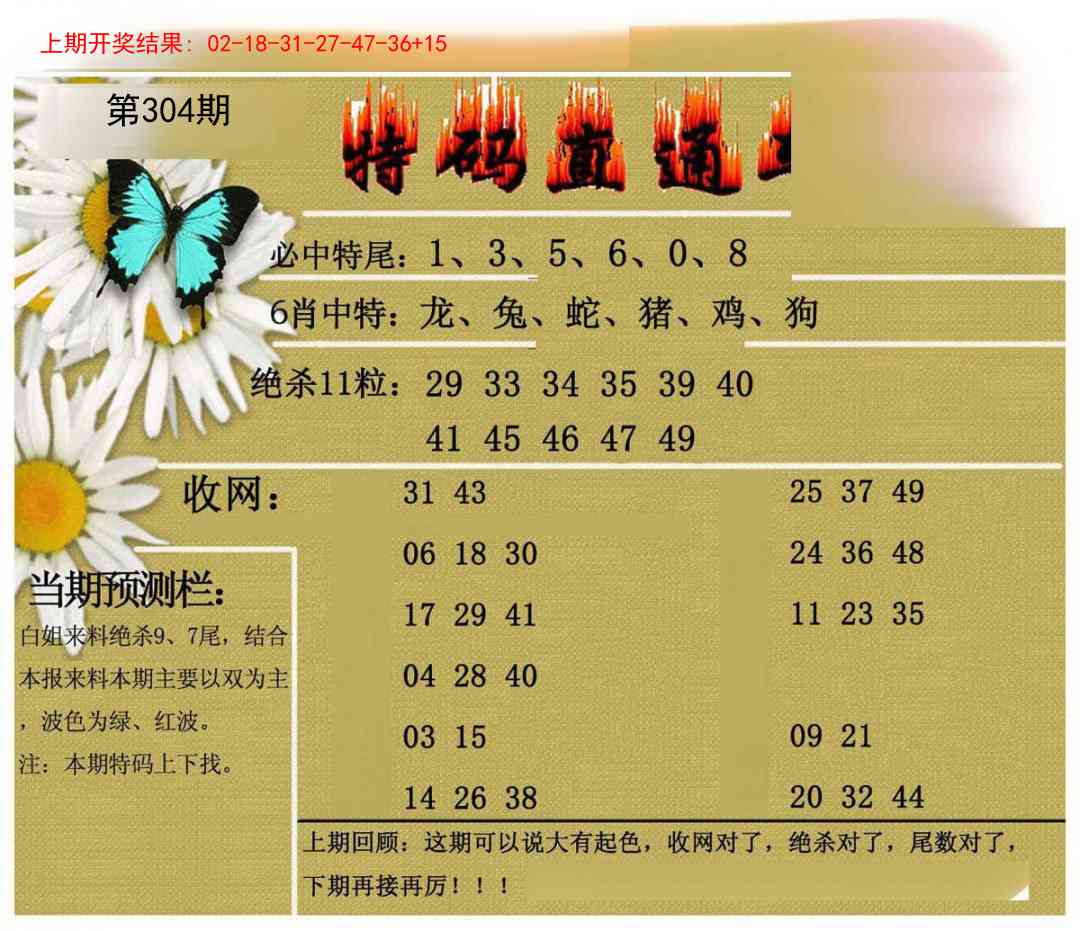 304期特码直通车[图]
