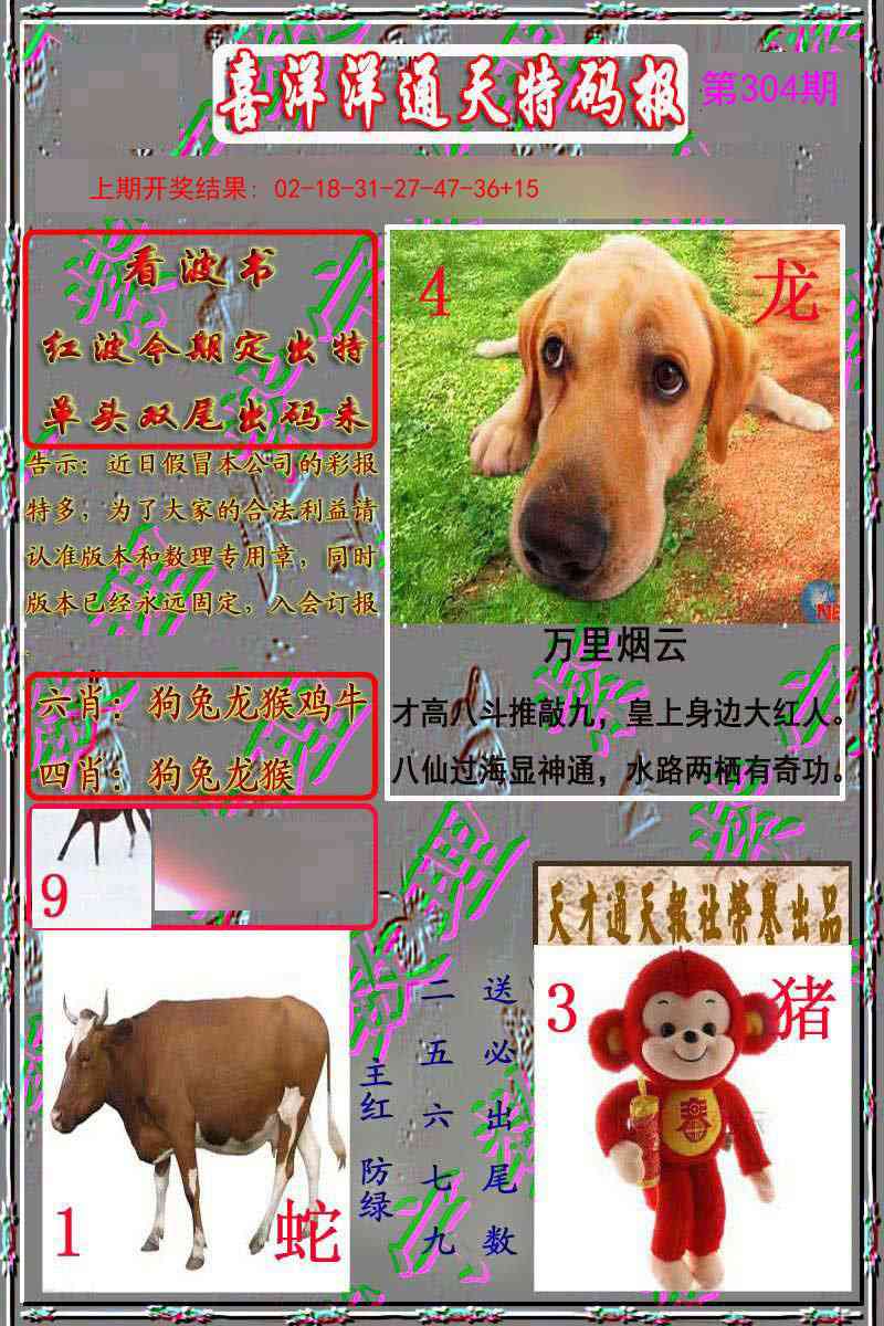 304期洋通报[图]