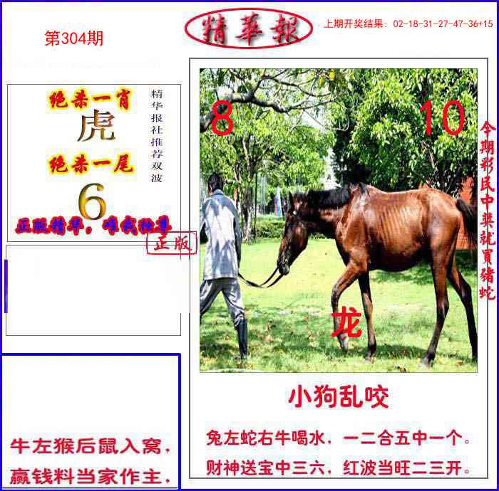304期新精华报报[图]