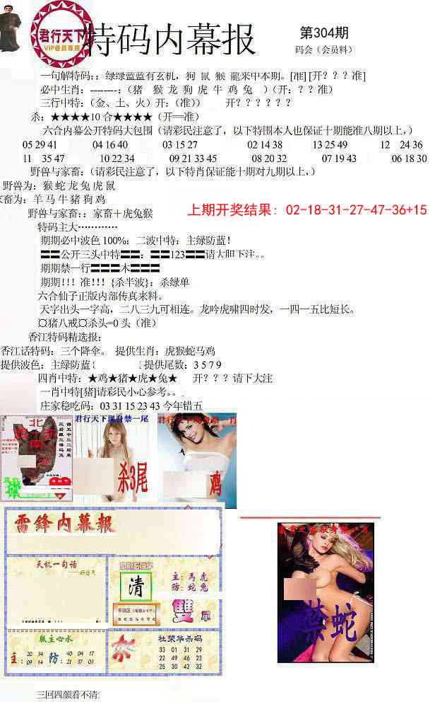 304期特码内幕报[图]