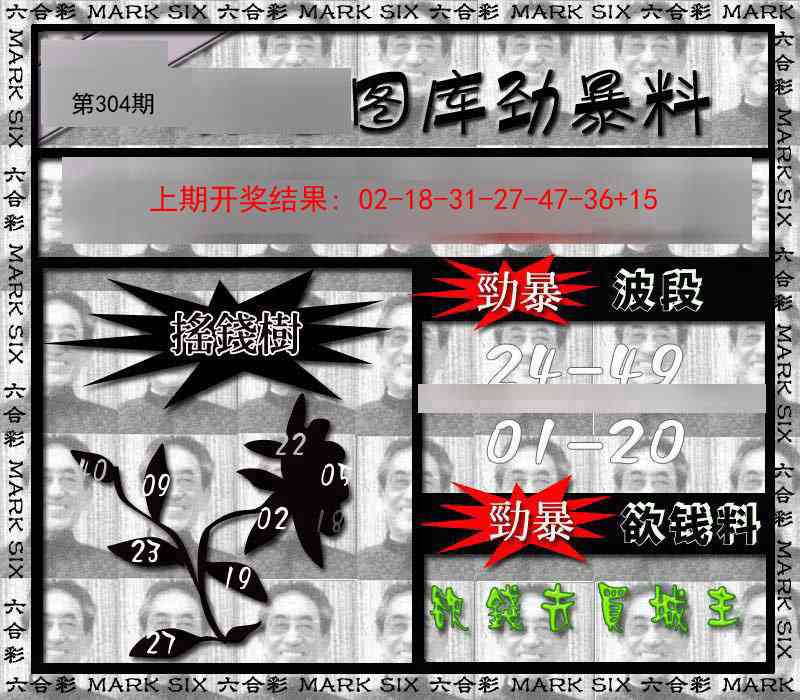 304期劲暴来料[图]