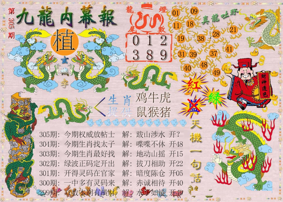 305期九龙内幕报[图]