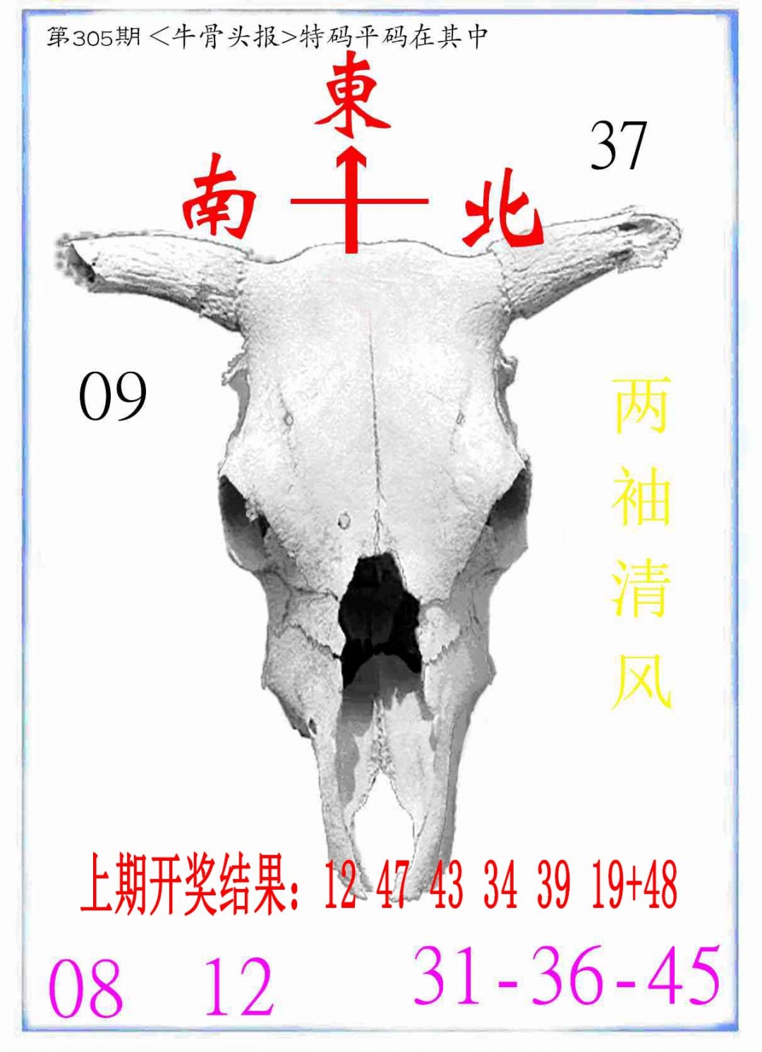 305期牛派系列7[图]