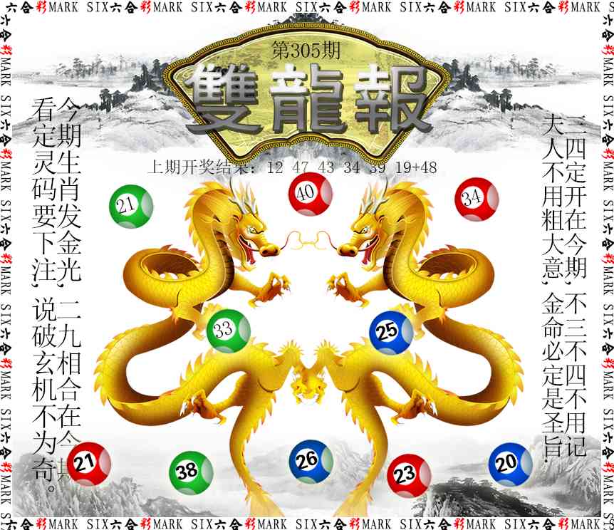 305期双龙报[图]