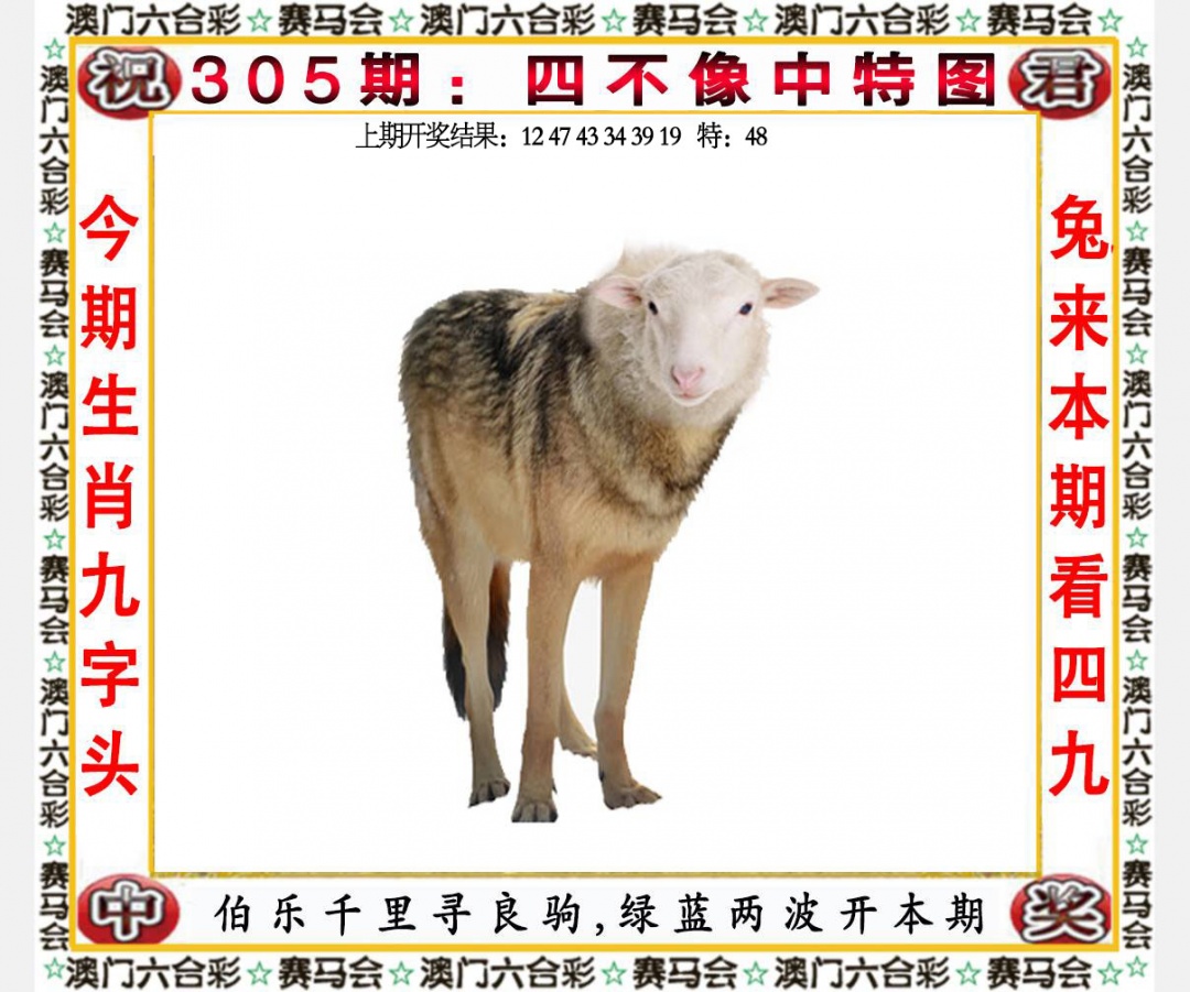 305期四不像中特图[图]