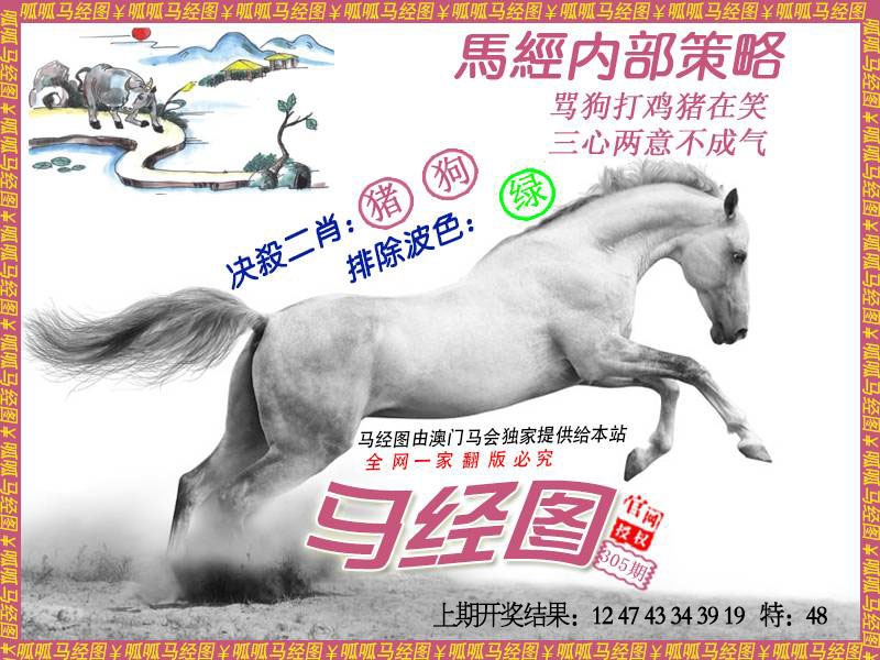 305期马经5[图]