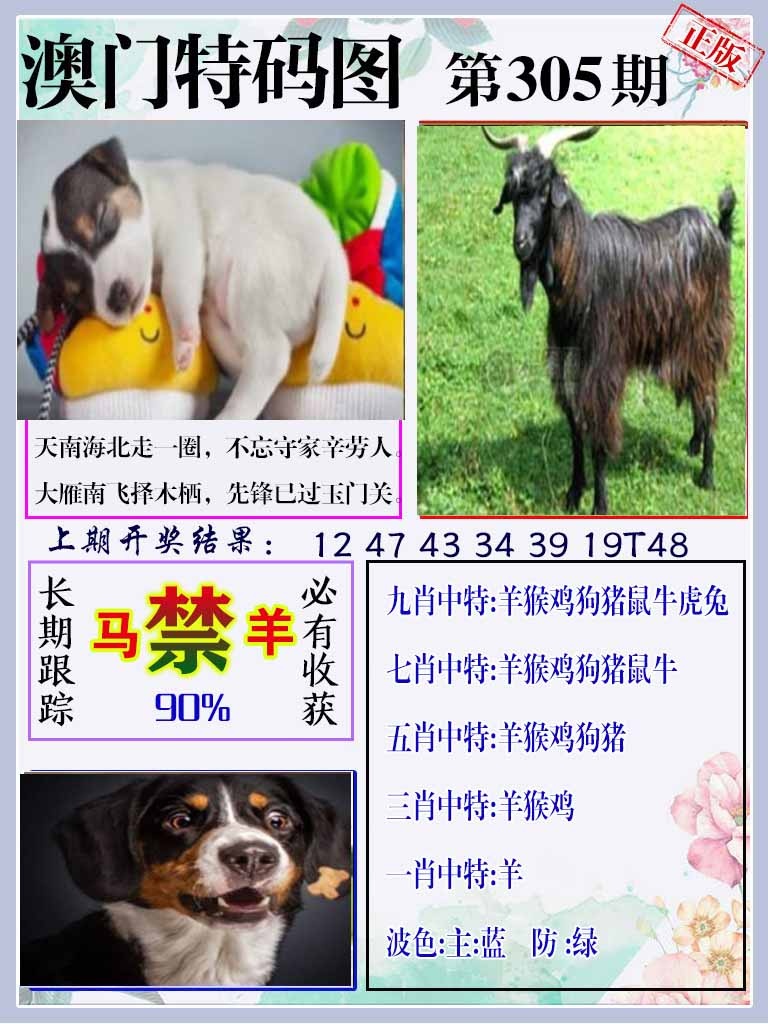 305期特码图[图]