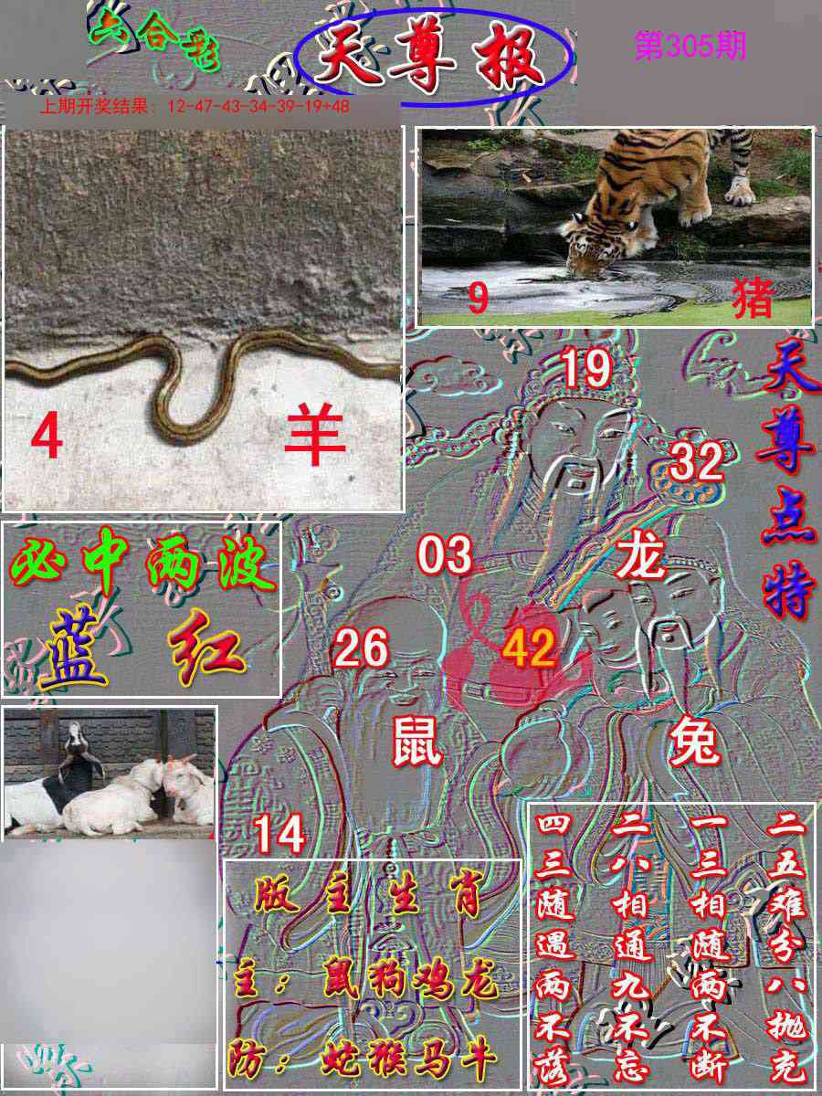 305期天尊报[图]
