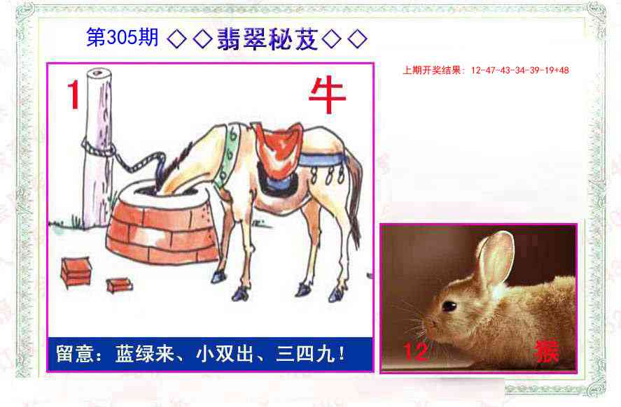 305期翡翠报[图]