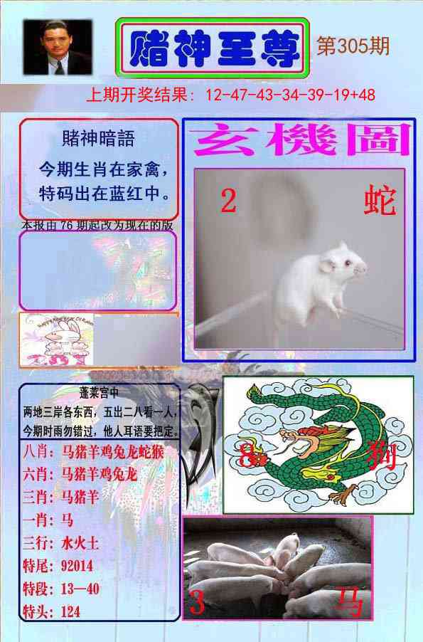 305期赌神至尊[图]