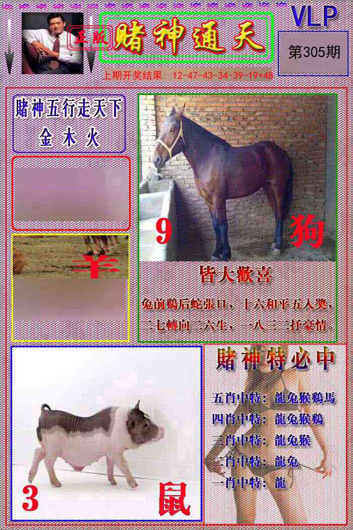 305期赌神通天报[图]