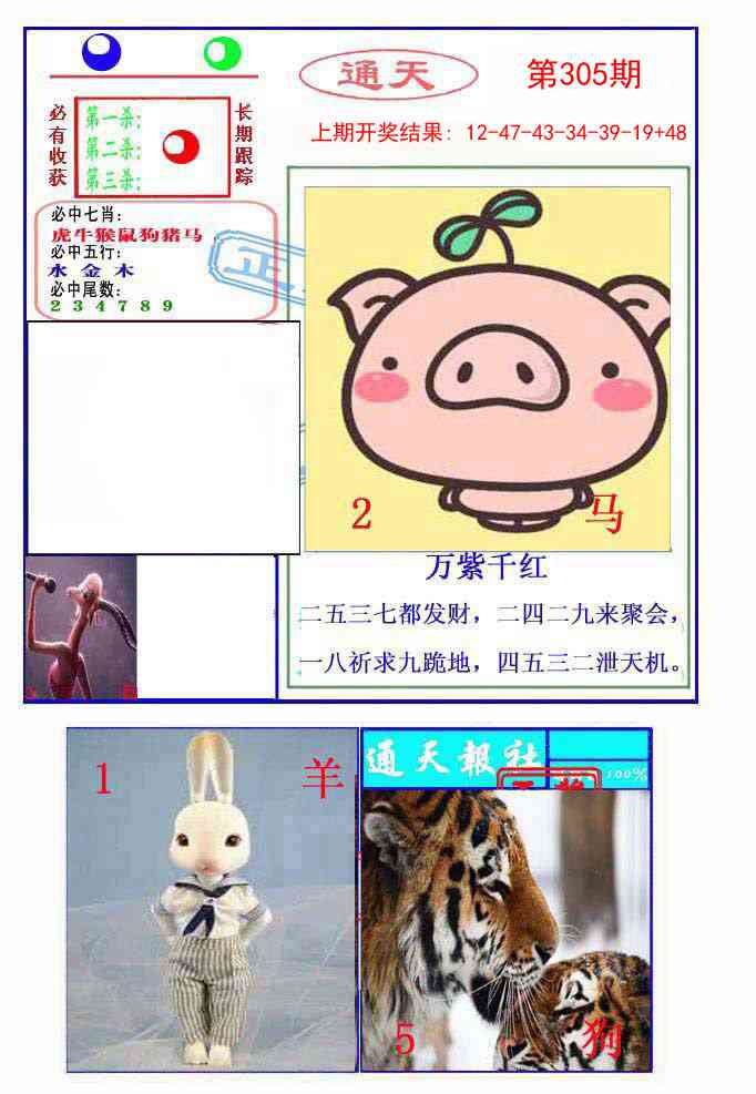 305期通天杀波图2[图]