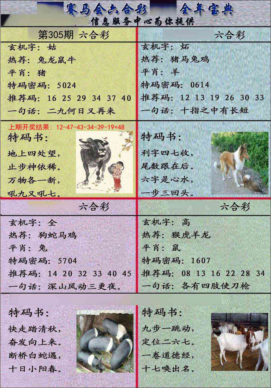 305期宝典报[图]