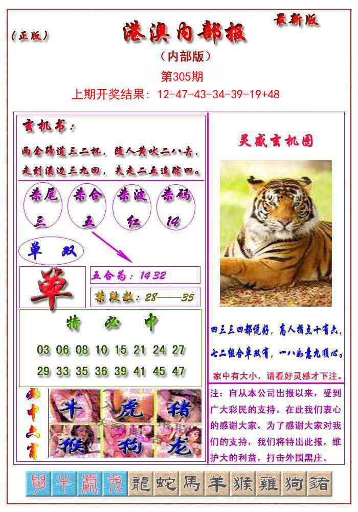 305期港澳报[图]