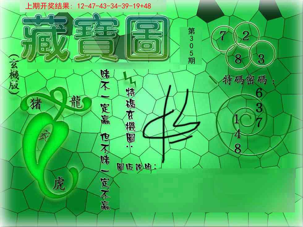 305期九龍玄机报[图]