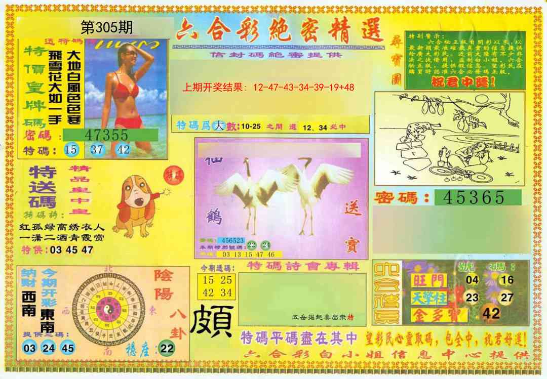 305期绝密精选A[图]