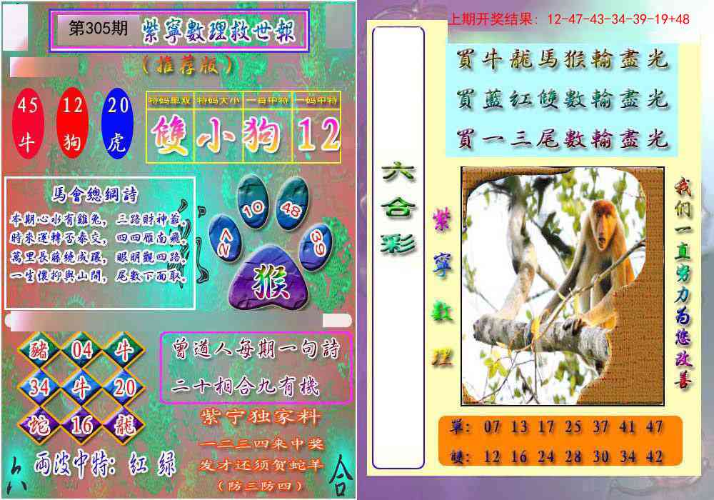 305期数理救世报[图]