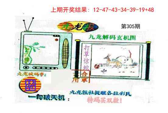 305期九龙报[图]