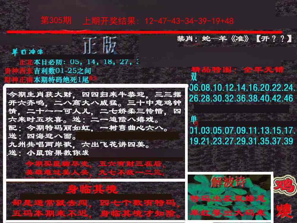 305期新港内幕[图]