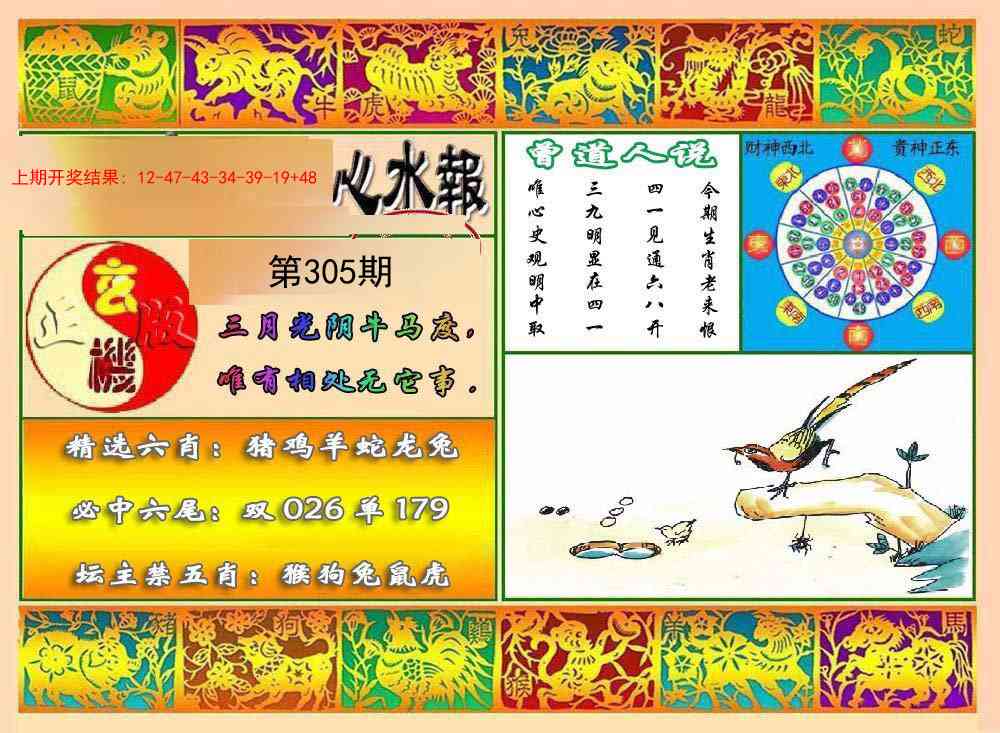 305期九龙心水报[图]