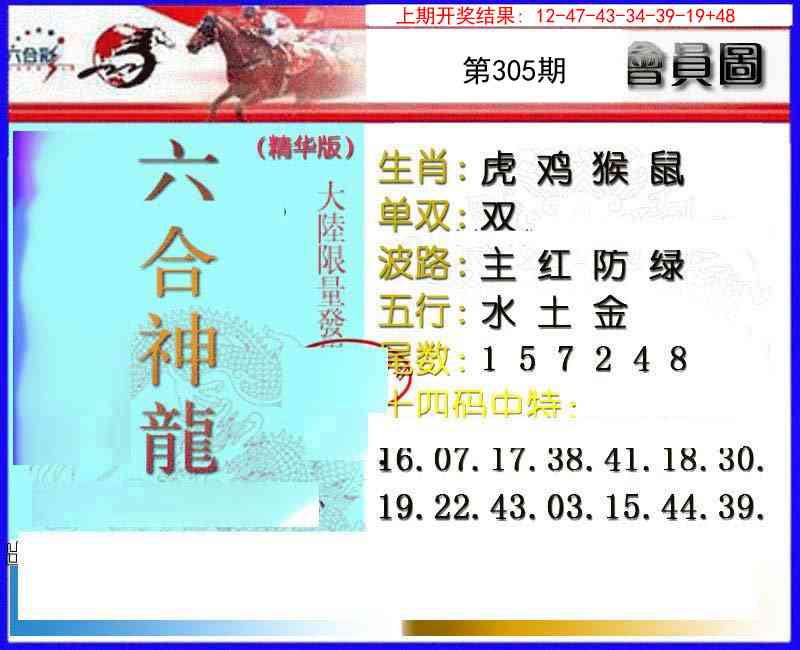 305期六合神龙[图]