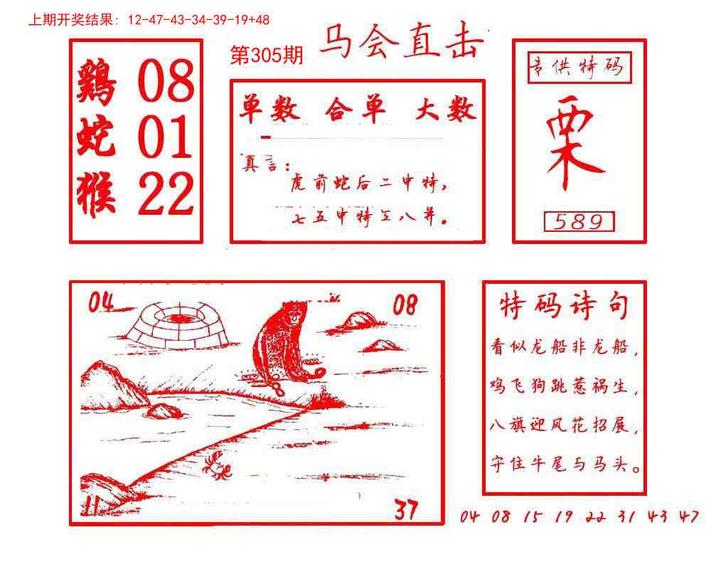 305期马会直击[图]
