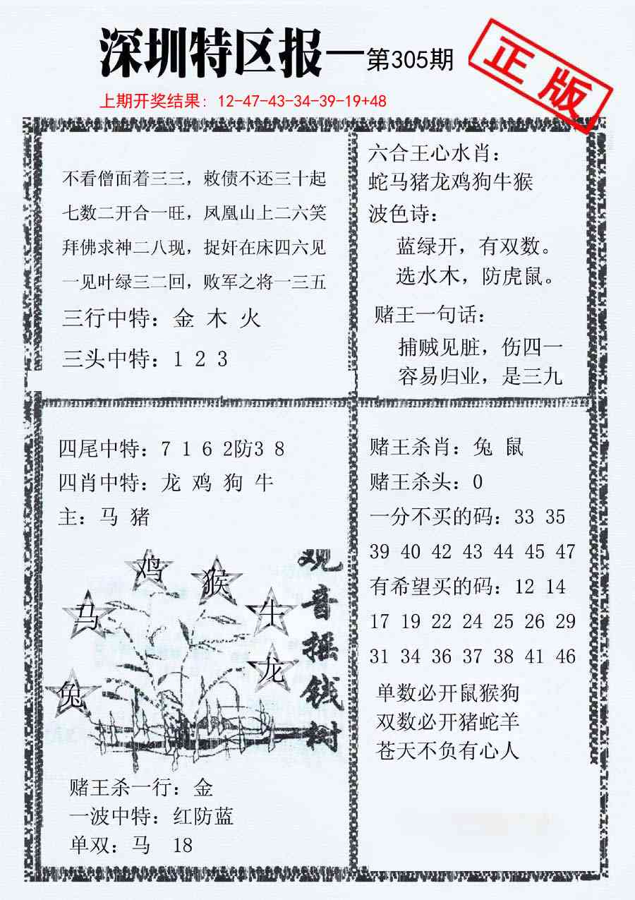 305期深圳特区报A[图]