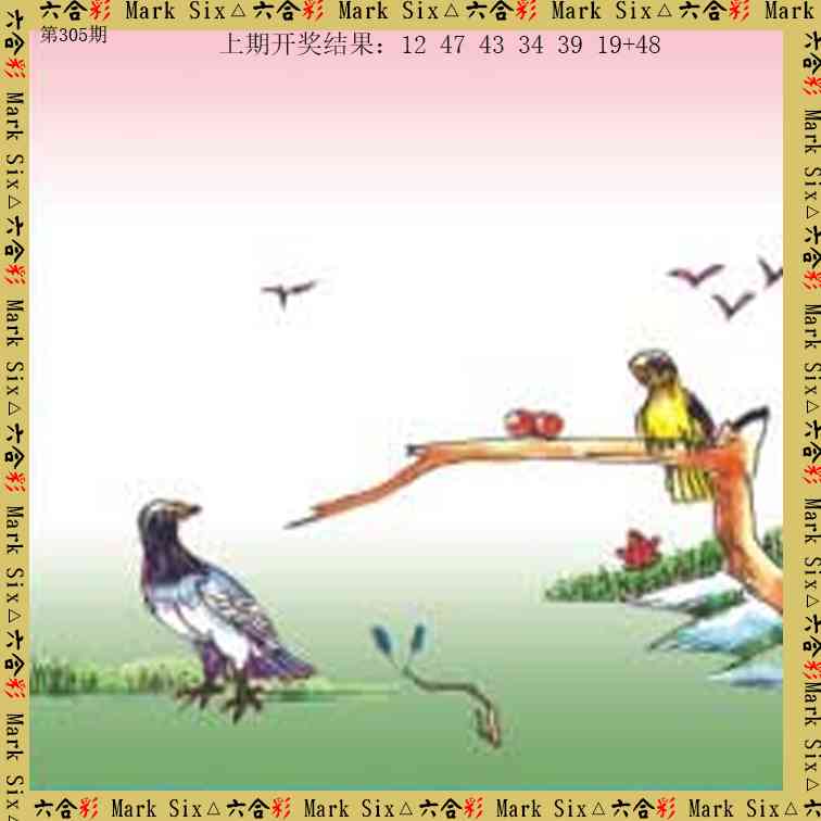 305期藏宝图[图]