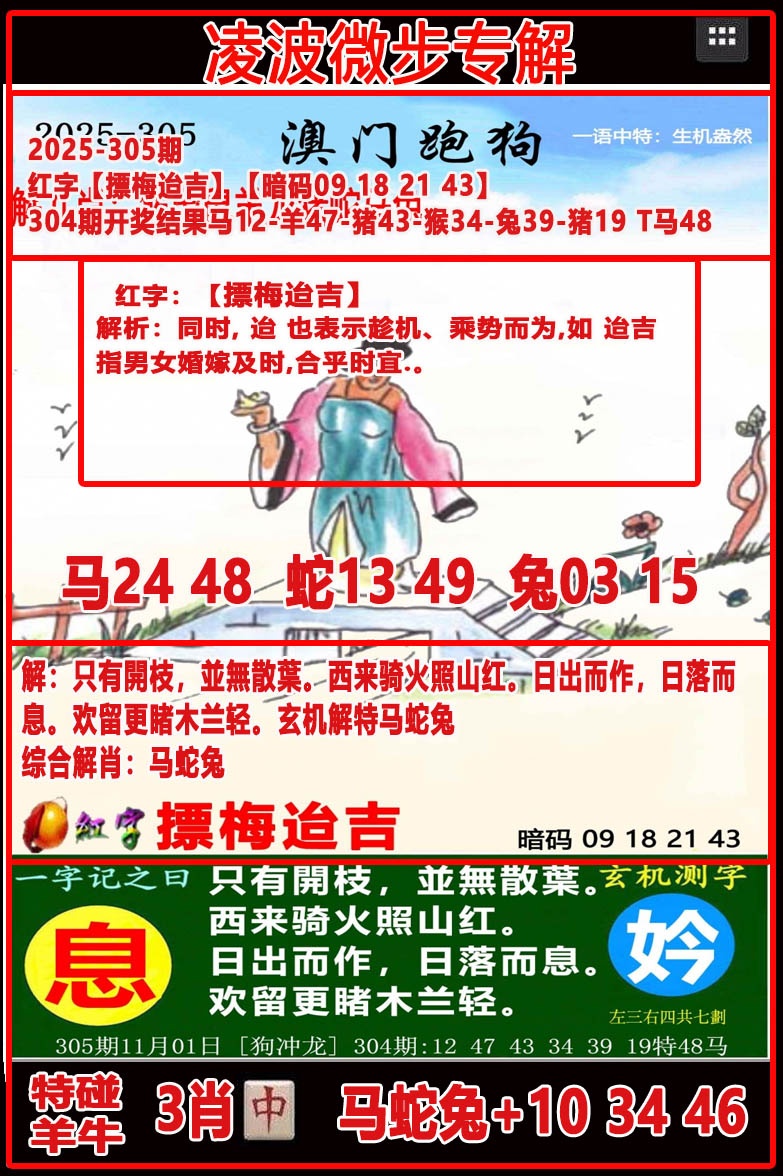 305期凌波微步[图]