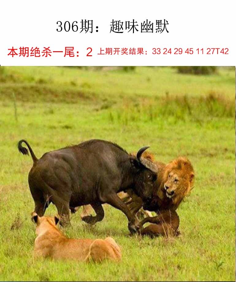 306期趣味幽默[图]