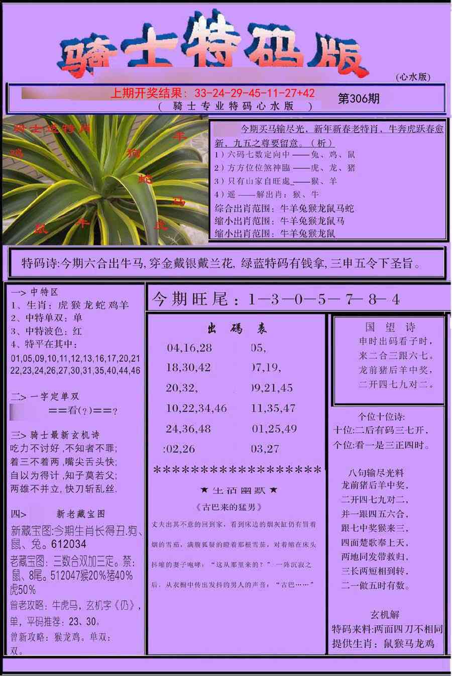 306期骑士特码版[图]