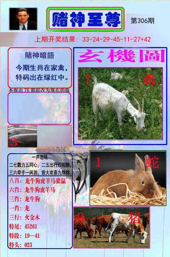 306期赌神至尊[图]