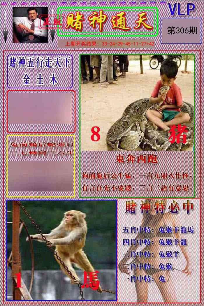 306期赌神通天报[图]