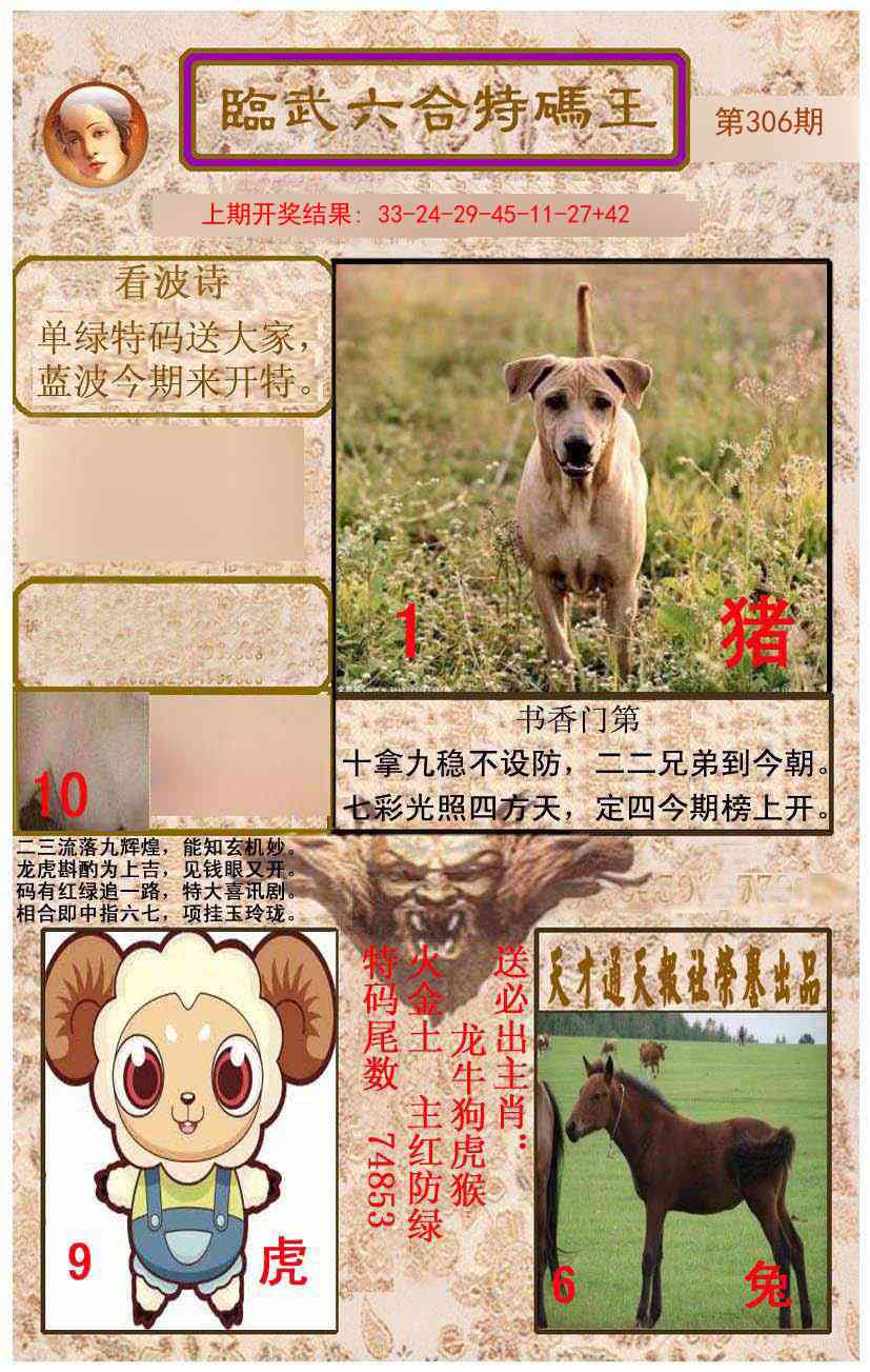 306期临武六合特码王[图]