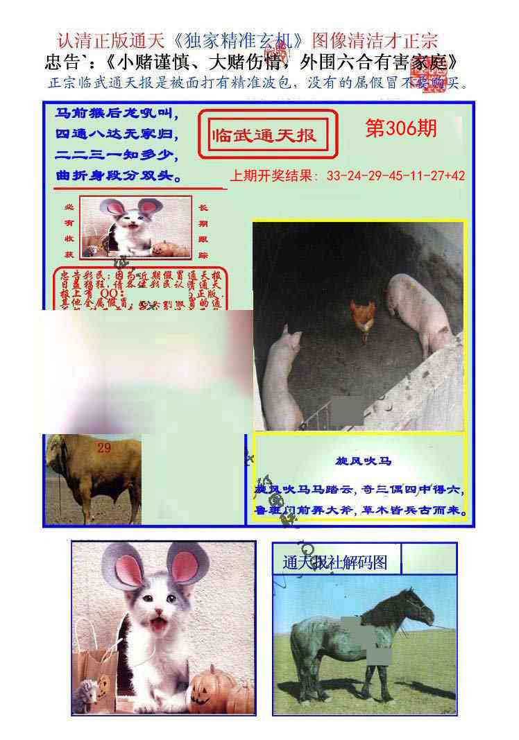 306期临武通天报[图]